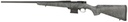 HOWA HCBNVTG243GW   M1500 243     22  GR 1