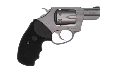 CHARTER ARMS CA PATHFINDER 22LR 2 SS 8RD 4
