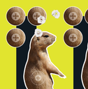ALLEN 15264 EZ AIM SPLASH REACTIVE TARGET PRAIRIE DOG HANGING PAPER 8"X8" MULTI-COLOR 6PACK 1
