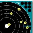 ALLEN GWG SPLASH ADHESIV 12 BULLSEYE 5PK 1