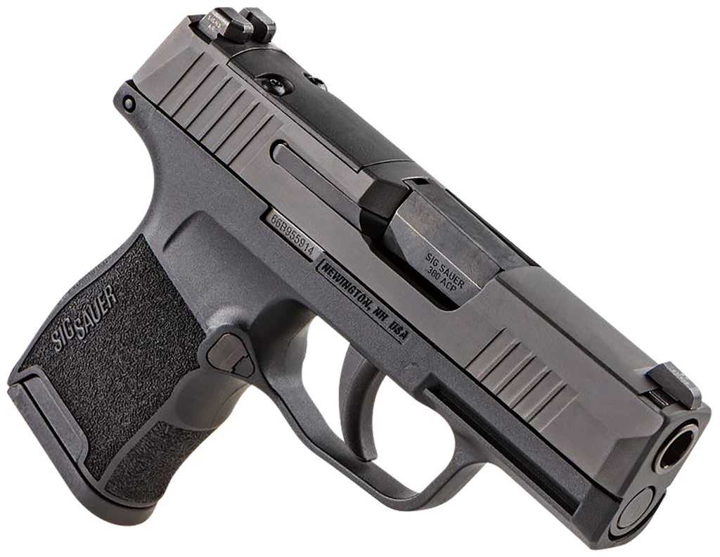 SIG SAUER P365 380ACP BLK 10+1 NS 2