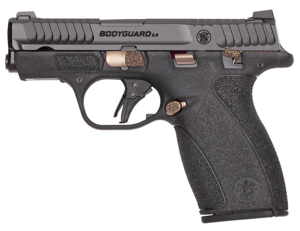 S&W BODYGRD 2.0    14660 380      TS RGP 1