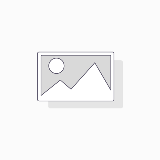 SMITH & WESSON 686, USED, 6" 357 MAGNUM STAINLESS STEEL, NO DASH